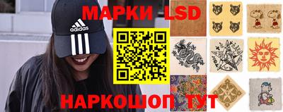 ПСИЛОЦИБИНОВЫЕ ГРИБЫ Беслан